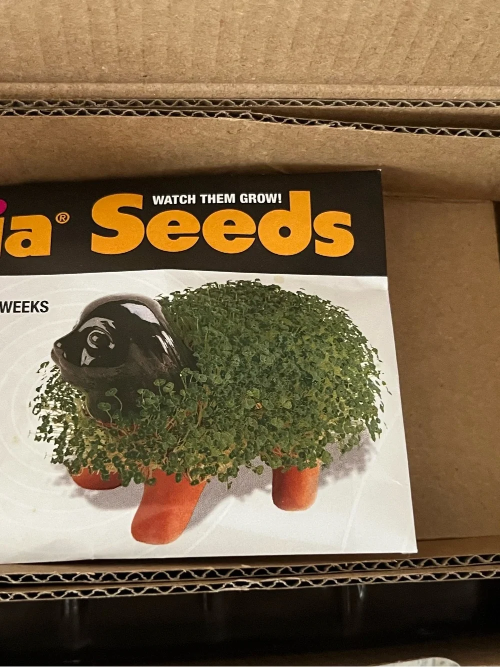 Chia Pet Handmade Decorative Planter Featuring Indiana Jones!  NIB